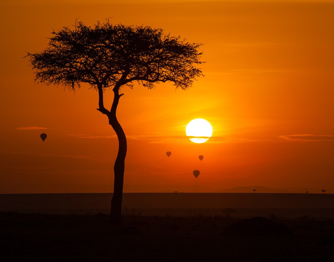 Hot air balloon safari early in the morning in the Maasai Mara National Reserve. Credit: Svein-Magne Tunli.